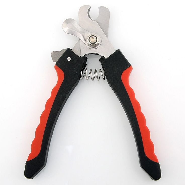 Best Dog Nail Clipper For Puppys Best Dog Nail Clipper For Puppys