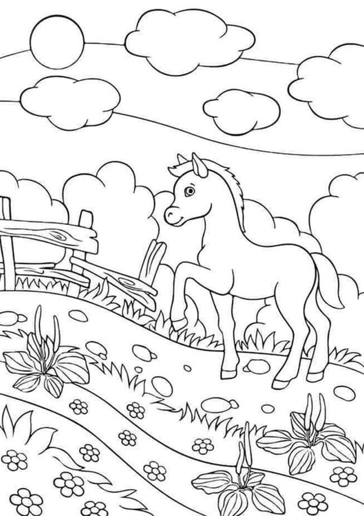 free easy to print baby animal coloring pages animal