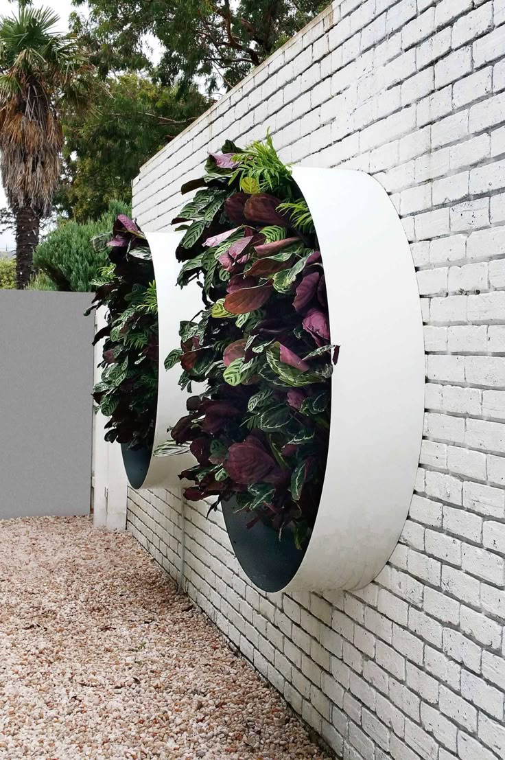 Vertical Garden Ideas Australia best 25+ vertical gardens ideas on pinterest | succulent wall Vertical Garden Ideas Australia best 25+ vertical gardens ideas on pinterest | succulent wall