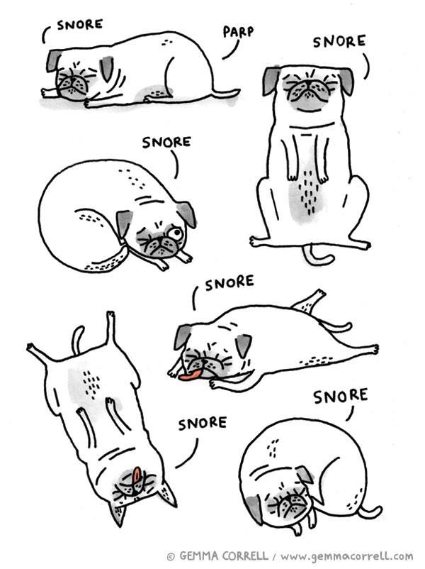 gemma correll pug mug 292 best gemma correll images on chipmunks fairies and festival style gemma correll pug mug 292 best gemma correll images on chipmunks fairies and festival style