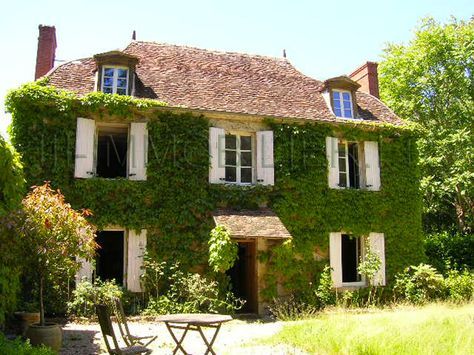 30 best La Sologne images on Pinterest Nature, Wild animals and - chambre d agriculture du loir et cher 30 best La Sologne images on Pinterest Nature, Wild animals and - chambre d agriculture du loir et cher