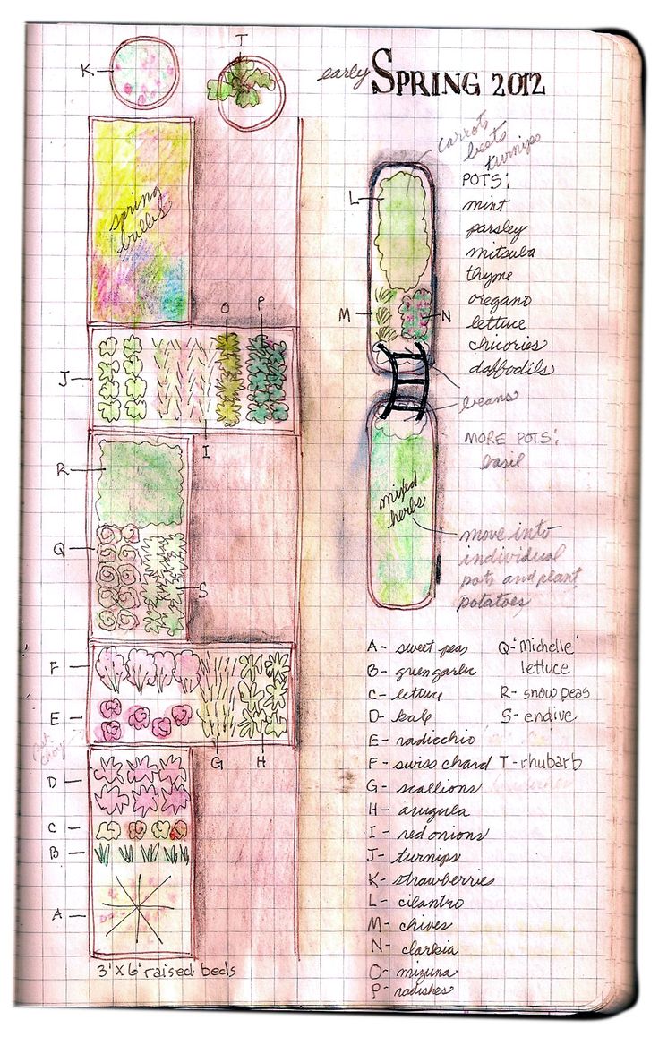 garden diary