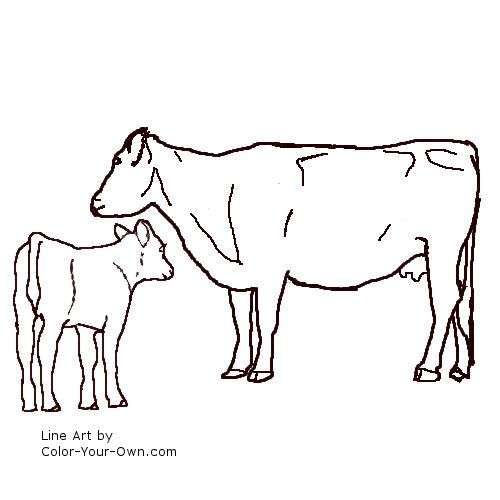 Black Angus Cow and Calf Coloring Page | Cow calf, Cow coloring pages