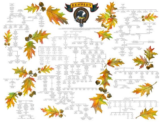 The 25+ best Family tree diagram ideas on Pinterest Greek family - family tree template in word The 25+ best Family tree diagram ideas on Pinterest Greek family - family tree template in word