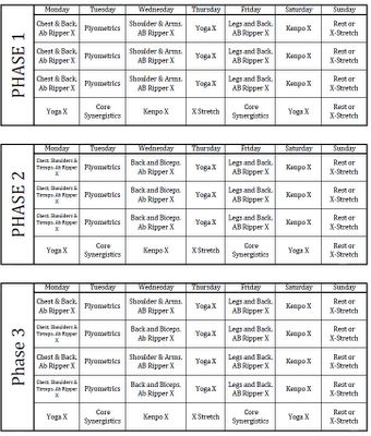 69 Best Beachbody Workout Calendars / Programs Images On Pinterest - 340x400 - jpeg P90x Plus Workout Routine