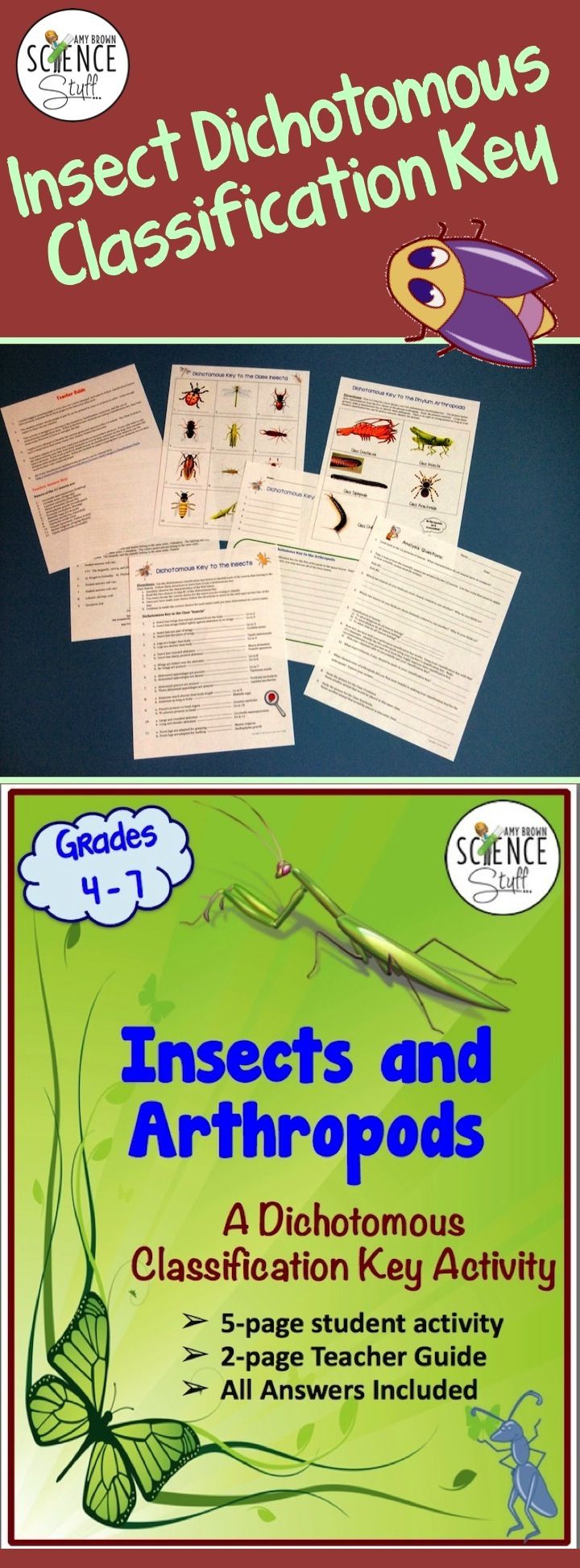 worksheet History Of Taxonomy Worksheet Answers 69 best classification taxonomy images on pinterest prehistoric insects and arthropods dichotomous key activity taxonomy