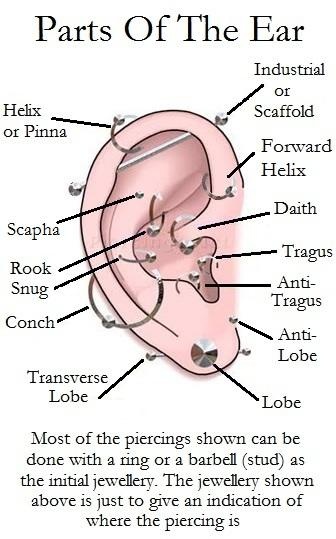 piercing diagram 87 best bepapaia world images on ear piercings piercing diagram 87 best bepapaia world images on ear piercings