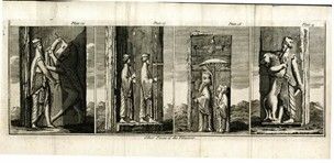Essay on persepolis