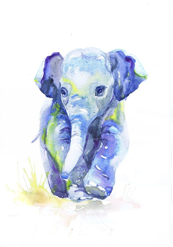 Baby Elefant Kunst, Aquarell, Baby Boy Kinderzimmer Dekor, Mädchen, Elefant Print, Wandkunst, Baby Geschenkideen, Animal Prints Aquarell – Watercolor animals Baby Elefant Kunst, Aquarell, Baby Boy Kinderzimmer Dekor, Mädchen, Elefant Print, Wandkunst, Baby Geschenkideen, Animal Prints Aquarell – Watercolor animals