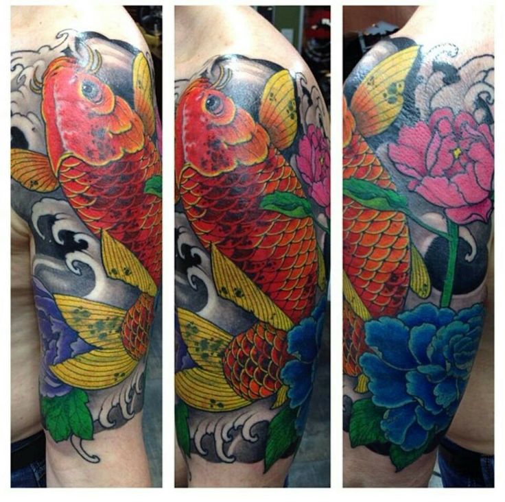 Koi fish
