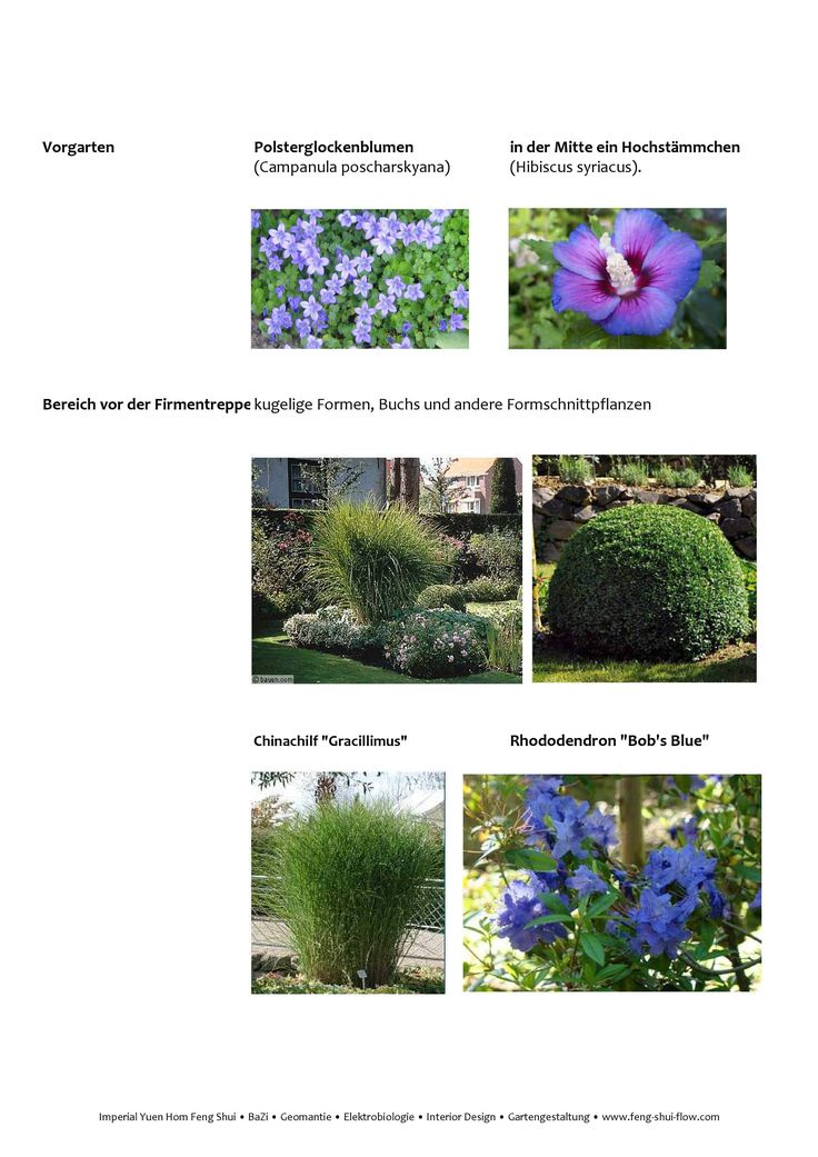Die besten 25+ Feng shui garten Ideen auf Pinterest Zen-Garten - feng shui gartendeko Die besten 25+ Feng shui garten Ideen auf Pinterest Zen-Garten - feng shui gartendeko