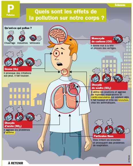 Quels sont les effets du viagra