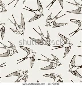 best 25 swift bird ideas on pinterest colorful birds pretty best 25 swift bird ideas on pinterest colorful birds pretty