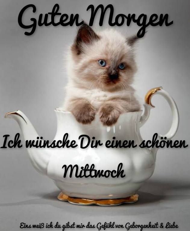 Guten morgen mittwoch bilder kostenlos