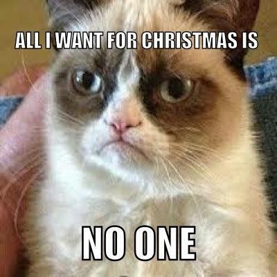 149 best tartar sauce aka grumpy cat stands alone grumpy cat burning christmas tree