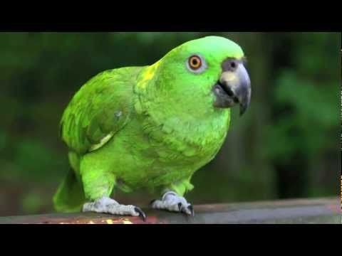 affirmations for weight loss goals for monday Affirmations for weight loss goals for monday