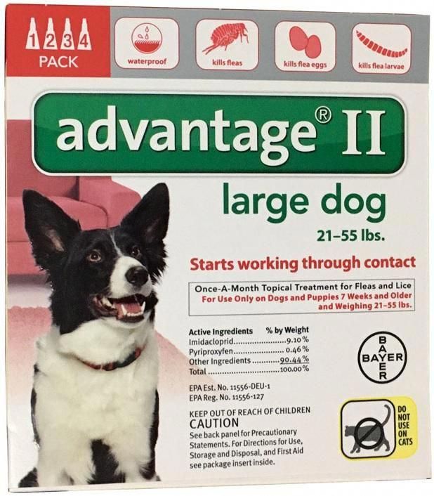 Affordable Dog Training Las Vegas Dogtodogaggression Refferal