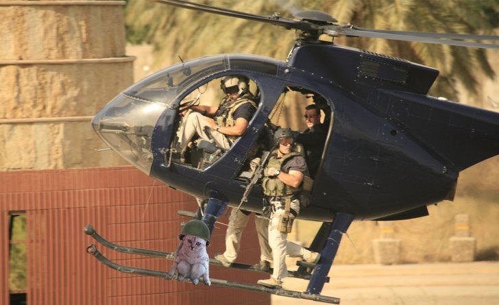 mh gen good bomber cat mh gen good bomber cat