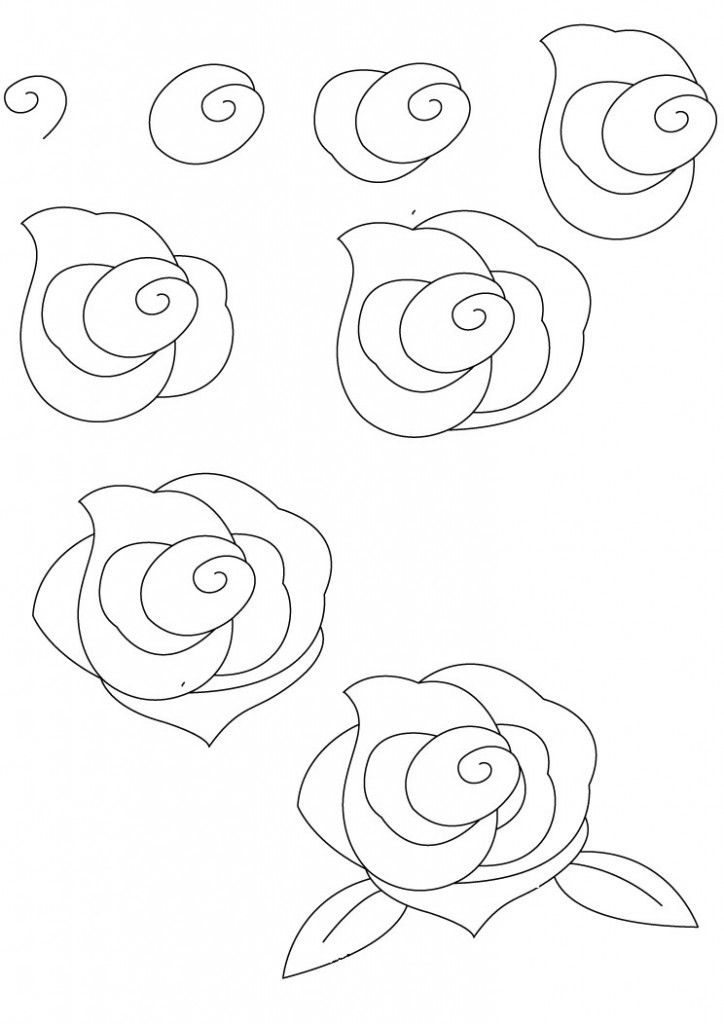 Best 25  How to draw roses ideas on Pinterest | Flowers to draw ...