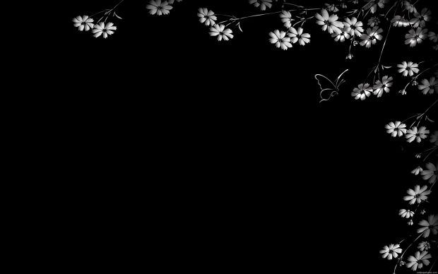 Black Wallpaper Hd High Resolution Android Wallpaper Black Cool Black Wallpaper Black Textured Wallpaper
