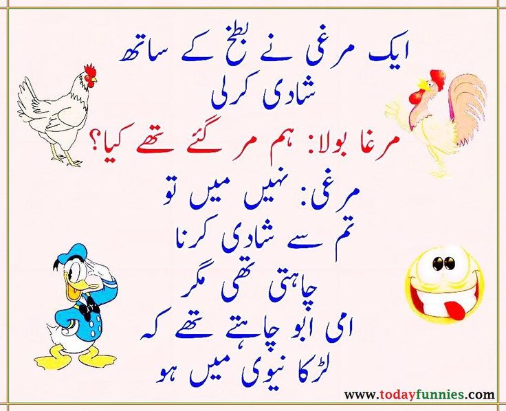 Hen Got Married With A Duck Urdu Joke Hen Got Married With A Duck Urdu Joke