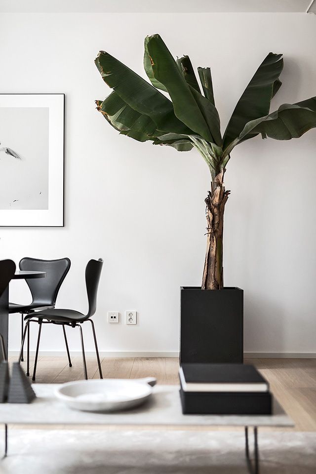 3712 best furnish me a home images on Pinterest | Living spaces ... 3712 best furnish me a home images on Pinterest | Living spaces ...