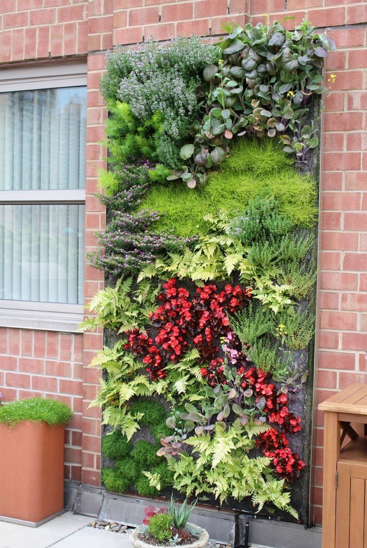best 25+ hydroponic gardening ideas only on pinterest best 25+ hydroponic gardening ideas only on pinterest