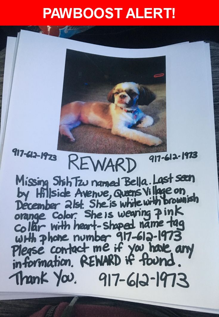 12 best Lost Pets and Pet Adoption Flyers images on Pinterest - lost pet flyer maker 12 best Lost Pets and Pet Adoption Flyers images on Pinterest - lost pet flyer maker