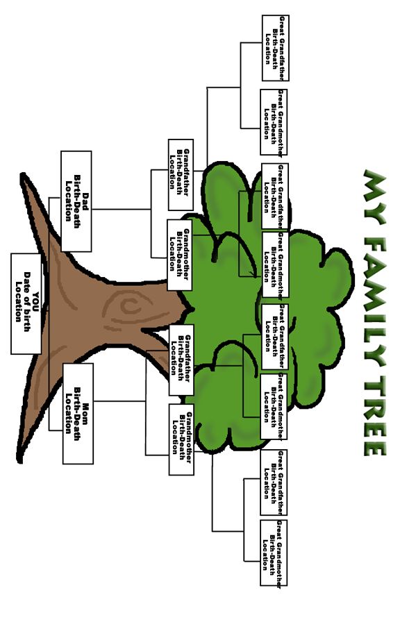 how to write a family history book