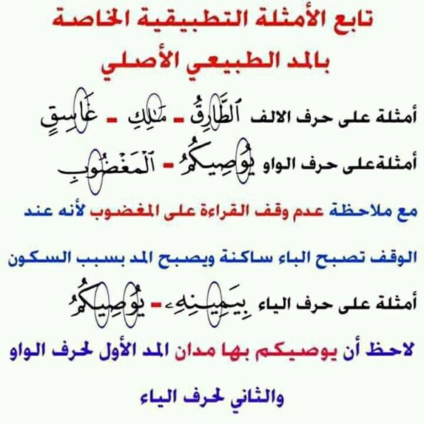 Pin By Celil Yagmuroglu On أهل الله وخاصته Math Quran Calligraphy