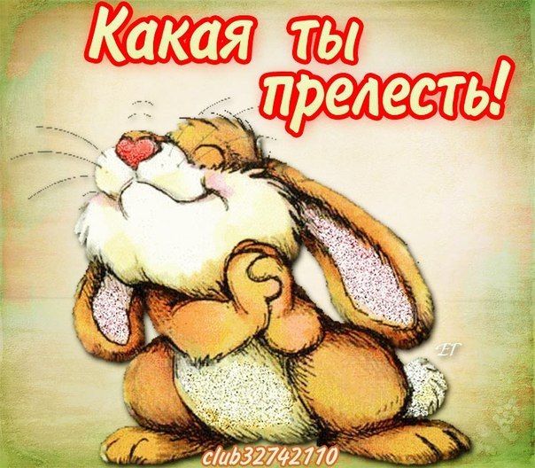 Николай, открытки в картинках ты прелесть