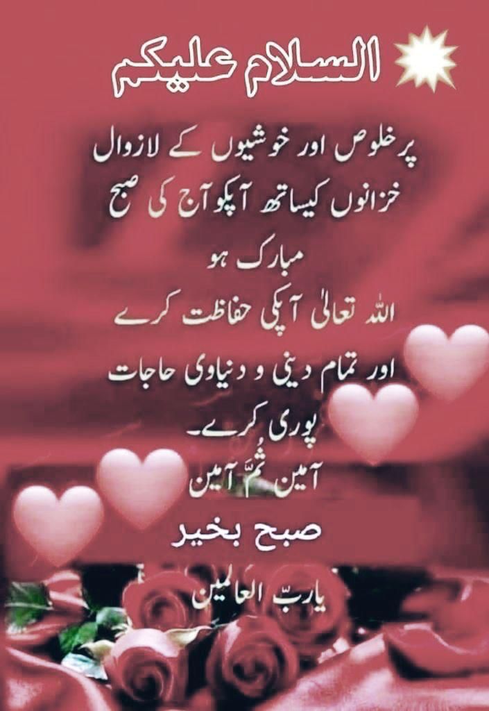 Subha Ba Khair Nel 2024 subha-ba-khair-nel-2024