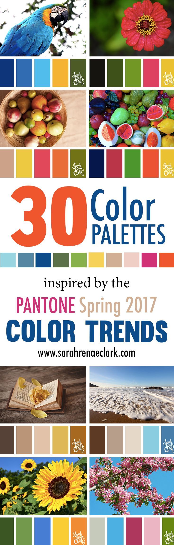 the 25+ best bright color schemes ideas on pinterest | bright the 25+ best bright color schemes ideas on pinterest | bright