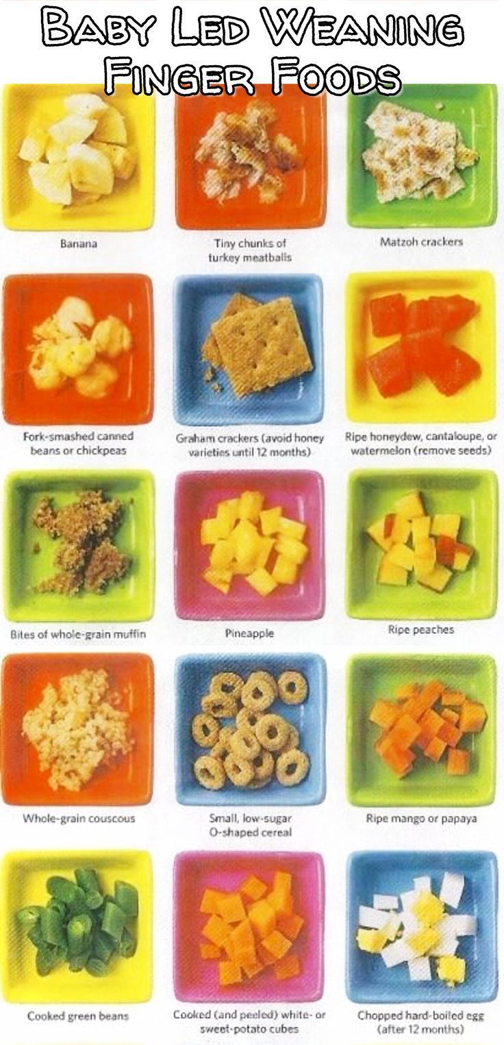 Baby Led Weaning Tips, Recipes, First Foods and More