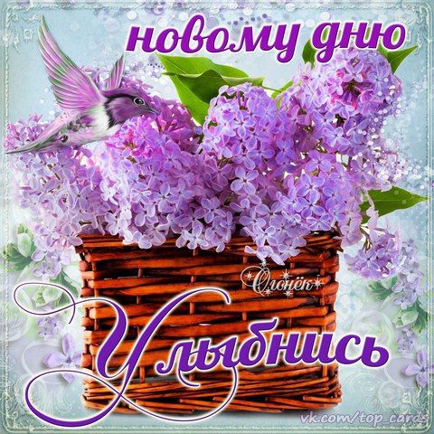 Доброе утро сирень
