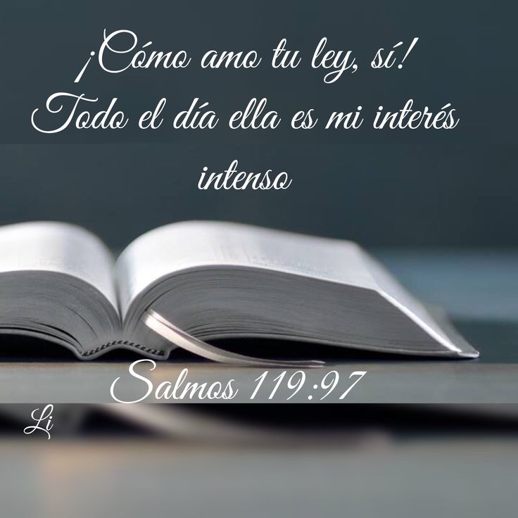 Salmos 119 97 Tarjeta De Animo Salmo 119 Salmos salmos-119-97-tarjeta-de-animo-salmo-119-salmos