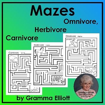 the 25 best herbivore carnivore omnivore ideas on humans are herbivores chart