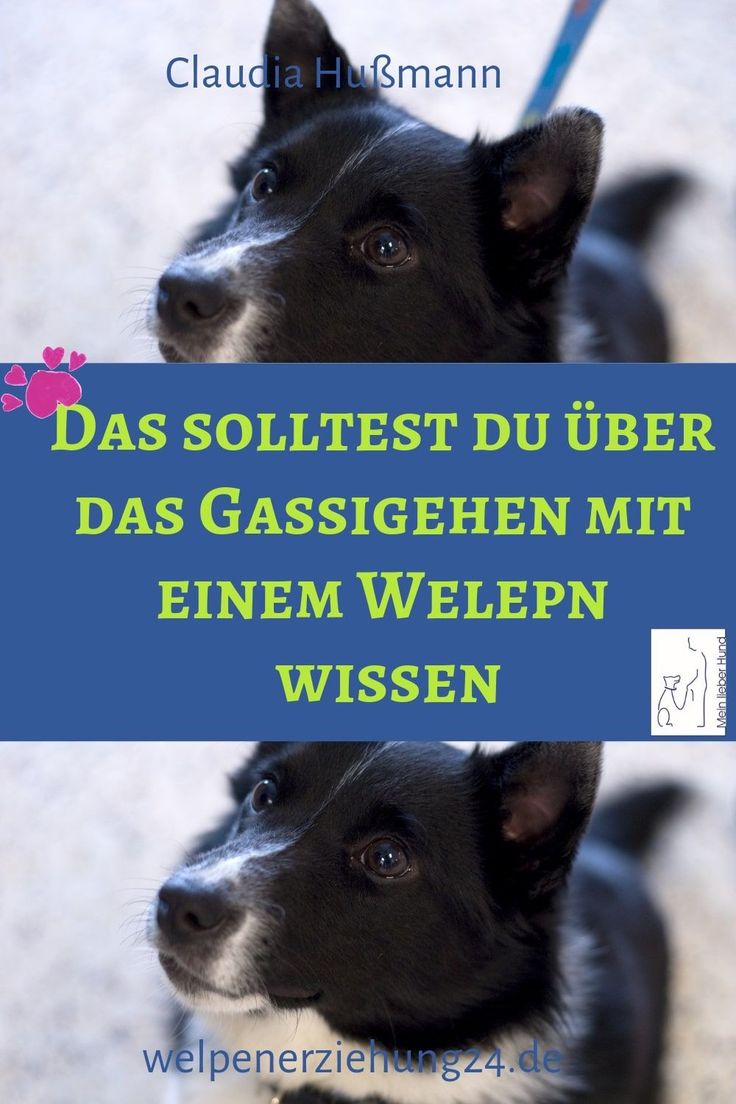 Wie Lange Darf Man Mit 13 Raus Wie Lange Darf Man Mit 13 Raus