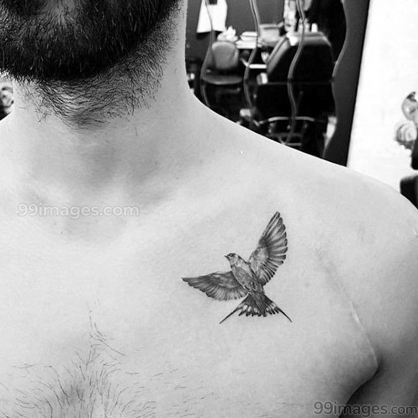 Portrait Bird Tattoo Men Chest Tattoo Men Small Chest Tattoos