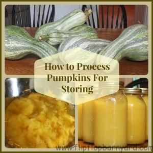 to how canning jars for process to How Process For Frozen Storing Food pumpkin, Pumpkins to how canning jars for process to How Process For Frozen Storing Food pumpkin, Pumpkins