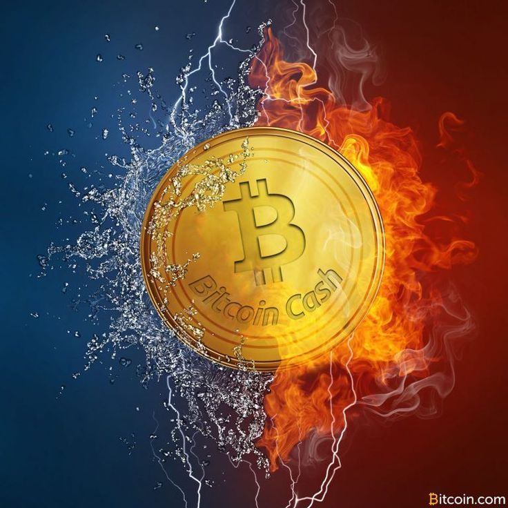 Bitmex bitcoin cash distribution Bitmex bitcoin cash distribution как вырастить биткоин простыми словами