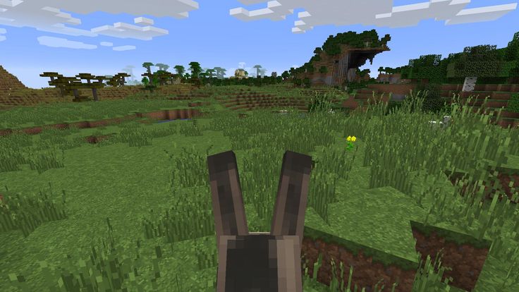 Best 25 Desert Biome Ideas On Pinterest Desert Biome Animals Animals In Desert And Desert