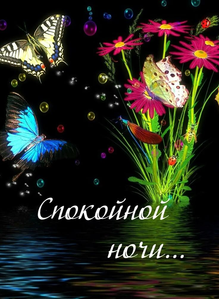 Открытки доброй ночи на телефон, поздравлениями дня