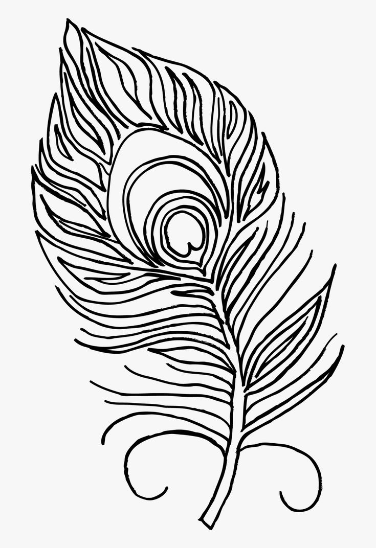 Download Turkey Feathers Clipart Free in 2020 | Peacock coloring ...