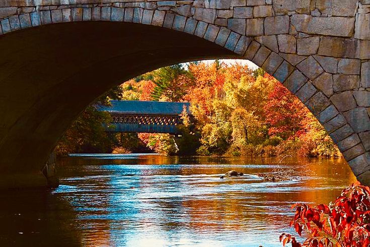 Pin by Daisy Bakes on Autumn in New England in 2020 New