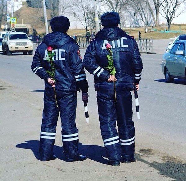 Открытки незабудки, прикольные картинки о дпс