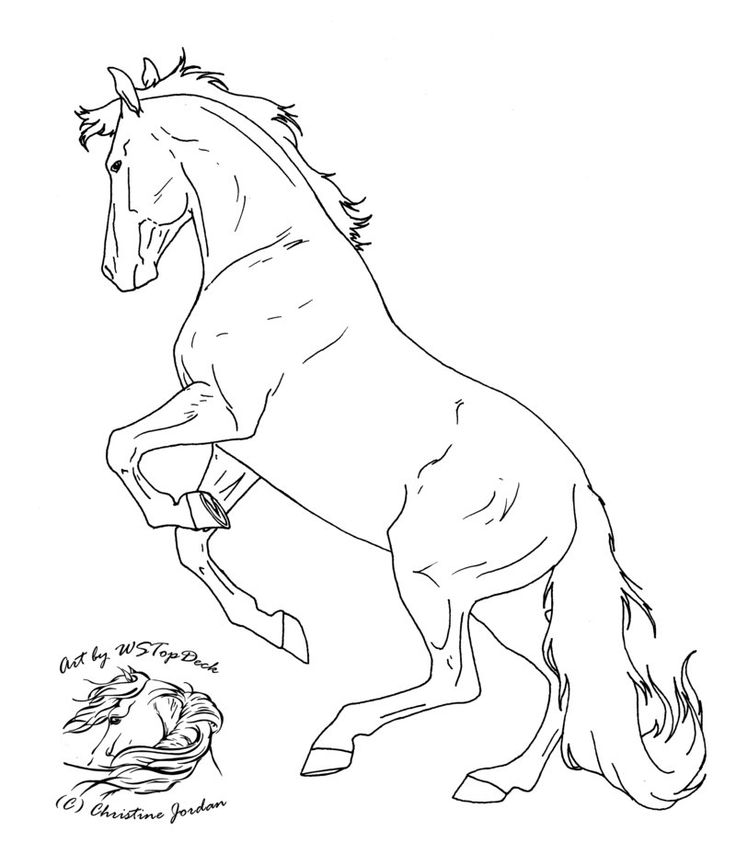 50 best Horse Coloring Pages images on Pinterest | Horse coloring ... 50 best Horse Coloring Pages images on Pinterest | Horse coloring ...