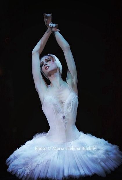 Svetlana Zakharova As Odette In Swan Lake Photo By Maria Helena Buckley Ballet Inspiration