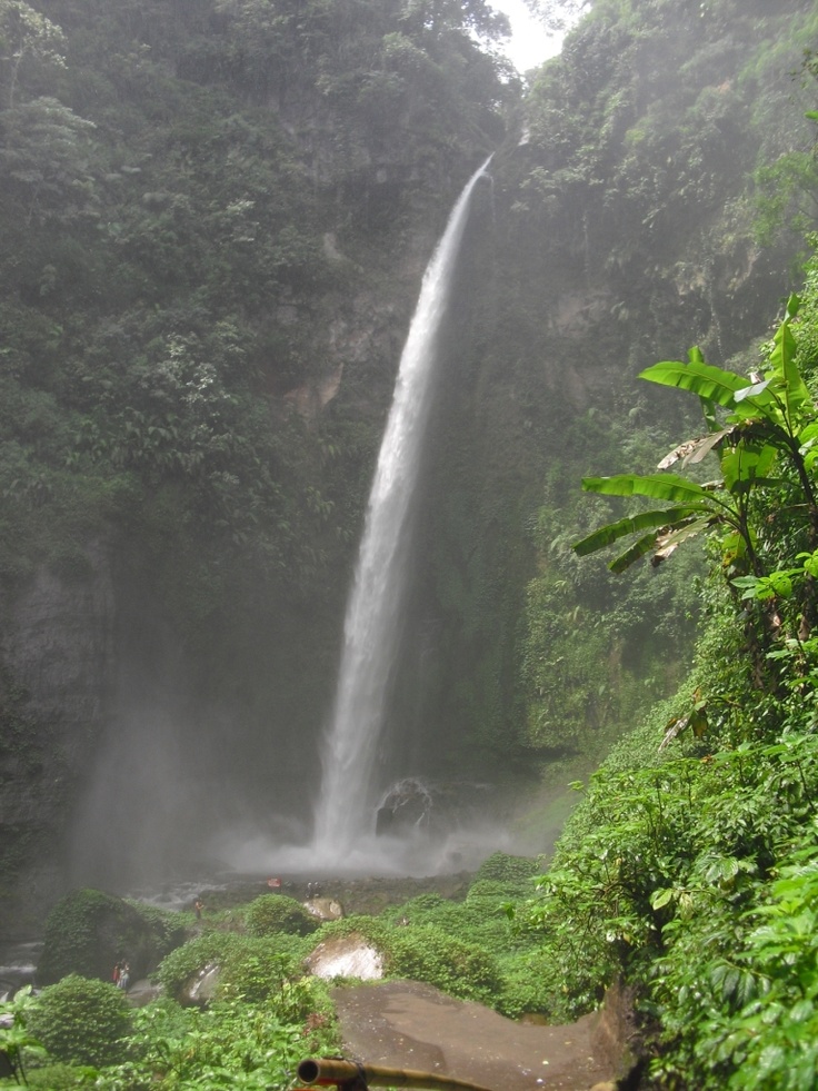 Info Tiket Rute Dan Fasilitas Coban Pelangi Penginapan Net 2021 coban pelangi malang