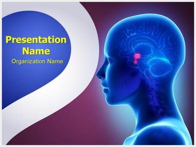 brain power point templates